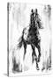 Rustic Stallion I-Ethan Harper-Stretched Canvas