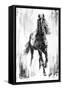 Rustic Stallion I-Ethan Harper-Framed Stretched Canvas