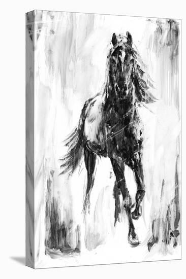 Rustic Stallion I-Ethan Harper-Stretched Canvas