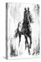 Rustic Stallion I-Ethan Harper-Stretched Canvas