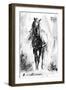 Rustic Stallion II-Ethan Harper-Framed Art Print