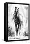 Rustic Stallion II-Ethan Harper-Framed Stretched Canvas