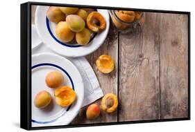 Rustic Still Life with Apricots-manera-Framed Stretched Canvas