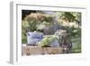 Rustic Still Life with Cabbage in Cottage Garden-Eising Studio - Food Photo and Video-Framed Photographic Print