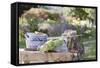 Rustic Still Life with Cabbage in Cottage Garden-Eising Studio - Food Photo and Video-Framed Stretched Canvas