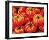 Rustic Tomatoes-Dorothy Berry-Lound-Framed Giclee Print