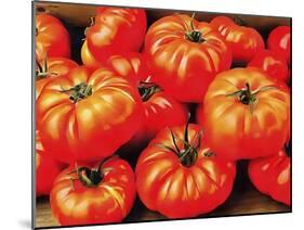 Rustic Tomatoes-Dorothy Berry-Lound-Mounted Giclee Print