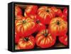 Rustic Tomatoes-Dorothy Berry-Lound-Framed Stretched Canvas