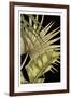 Rustic Tropical Leaves II-Ethan Harper-Framed Premium Giclee Print