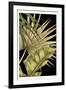 Rustic Tropical Leaves II-Ethan Harper-Framed Premium Giclee Print