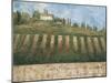 Rustic Tuscany-Liz Jardine-Mounted Art Print