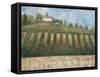 Rustic Tuscany-Liz Jardine-Framed Stretched Canvas