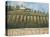 Rustic Tuscany-Liz Jardine-Stretched Canvas