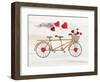 Rustic Valentine Bicycle-Kathleen Parr McKenna-Framed Art Print