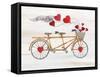 Rustic Valentine Bicycle-Kathleen Parr McKenna-Framed Stretched Canvas