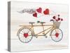 Rustic Valentine Bicycle-Kathleen Parr McKenna-Stretched Canvas