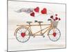 Rustic Valentine Bicycle-Kathleen Parr McKenna-Mounted Art Print