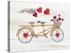 Rustic Valentine Bicycle-Kathleen Parr McKenna-Stretched Canvas