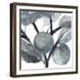 Rustic Vine I-Annie Warren-Framed Art Print