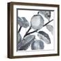 Rustic Vine II-Annie Warren-Framed Art Print