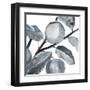 Rustic Vine II-Annie Warren-Framed Art Print