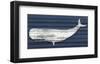 Rustic Whale-Sparx Studio-Framed Giclee Print