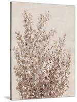 Rustic Wildflowers I-Tim OToole-Stretched Canvas