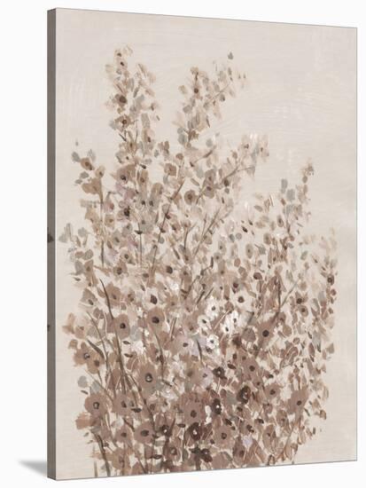 Rustic Wildflowers I-Tim OToole-Stretched Canvas