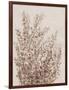 Rustic Wildflowers I-Tim OToole-Framed Art Print