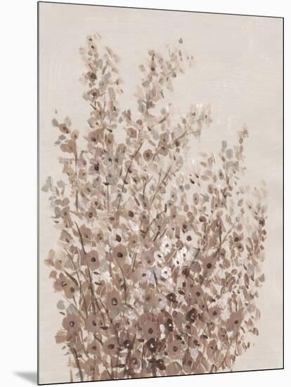 Rustic Wildflowers I-Tim OToole-Mounted Art Print