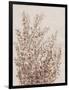 Rustic Wildflowers I-Tim OToole-Framed Art Print