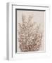 Rustic Wildflowers I-Tim OToole-Framed Art Print