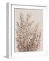 Rustic Wildflowers I-Tim OToole-Framed Art Print