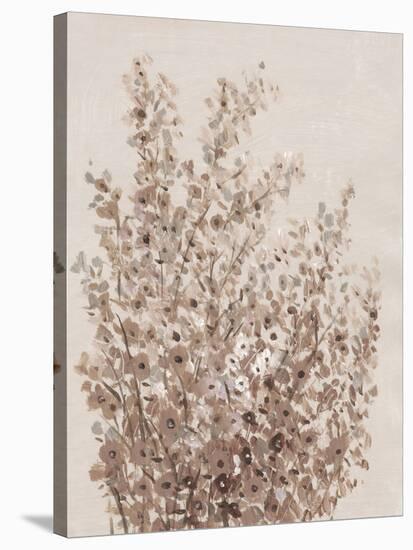 Rustic Wildflowers I-Tim OToole-Stretched Canvas