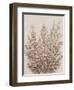 Rustic Wildflowers II-Tim OToole-Framed Art Print