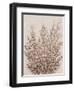 Rustic Wildflowers II-Tim OToole-Framed Art Print