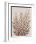 Rustic Wildflowers II-Tim OToole-Framed Art Print