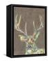 Rustic Wildlife I-Jennifer Goldberger-Framed Stretched Canvas