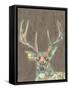 Rustic Wildlife I-Jennifer Goldberger-Framed Stretched Canvas