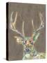 Rustic Wildlife I-Jennifer Goldberger-Stretched Canvas