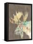 Rustic Wildlife IV-Jennifer Goldberger-Framed Stretched Canvas