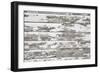 Rustic Wood-null-Framed Photographic Print