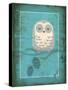 Rustic Woodland Owl-Teresa Woo-Stretched Canvas