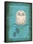 Rustic Woodland Owl-Teresa Woo-Framed Stretched Canvas