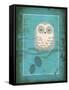 Rustic Woodland Owl-Teresa Woo-Framed Stretched Canvas