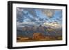 Rustic Wyoming-Darren White Photography-Framed Giclee Print