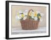 Rustica Serie With Baskets I-Bravo-Framed Art Print