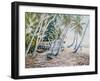 Rustling Palms, Zanzibar, 2002-Tilly Willis-Framed Giclee Print