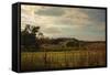 Rusty Barn at Sunset-Jai Johnson-Framed Stretched Canvas