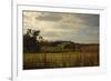 Rusty Barn at Sunset-Jai Johnson-Framed Giclee Print